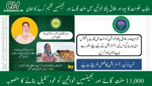 Read more about the article 11,000 Free Cows and Buffaloes for Widowed and Divorced Women in 2025