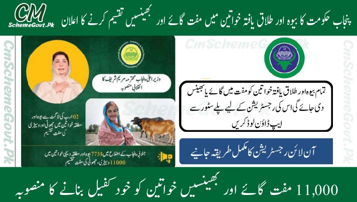 Read more about the article 11,000 Free Cows and Buffaloes for Widowed and Divorced Women in 2025