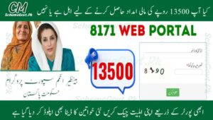 Read more about the article BISP  8171 Program: Eligibility Check and Rs. 13,500 Payment (Complete Guide)