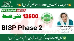 Read more about the article BISP Phase 2: Easy Online Verification for 13,500 Payment
