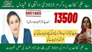 Read more about the article Benazir Kafaalat Program: Payments & Updates