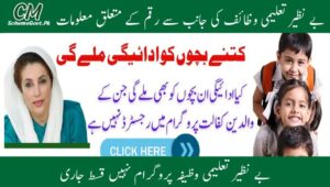Read more about the article Benazir Kafalat Child Payments: School Admission Reconfirmation (Complete Guide)