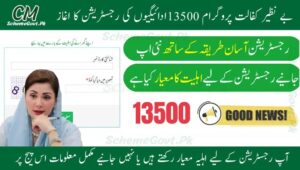 Read more about the article Benazir Kafalat Program: Verification Made Easy for 2025