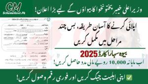Read more about the article Who Can Apply for the Bewa Sahara Card in KPK? Full Details