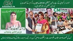 Read more about the article CM Punjab Pehchan Program: Skill Training Opportunity for Transgender Individuals – Apply Now