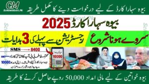 Read more about the article How To Apply for Bewa Sahara Card Punjab Program?