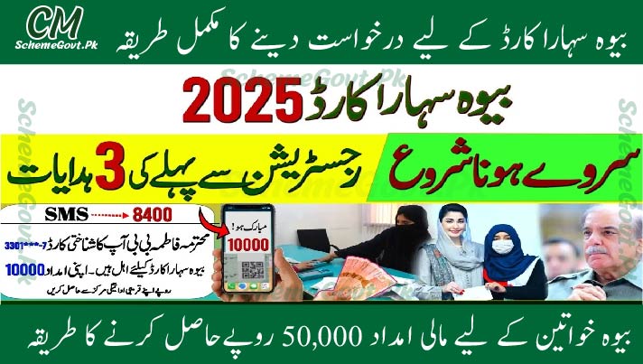 You are currently viewing How To Apply for Bewa Sahara Card Punjab Program?