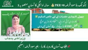 Read more about the article The CM Punjab Asaan Karobar Card New Updates – Interest-Free Loan for Small Entrepreneurs