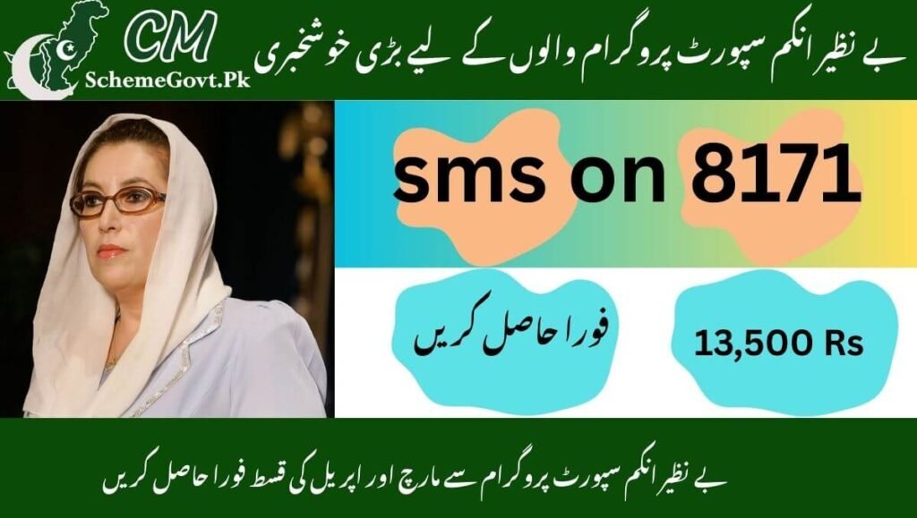 Read more about the article Verify online to check BISP the status of the April installment