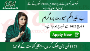 Read more about the article 8171 Check Online 2025-Unlock Benazir Kafalat Benefits!