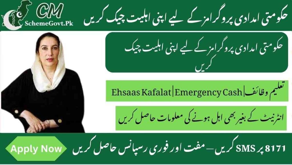 Read more about the article 8171 SMS Check CNIC – Verify Eligibility for Govt Schemes in 2025