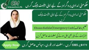 Read more about the article 8171 SMS Check CNIC – Verify Eligibility for Govt Schemes in 2025