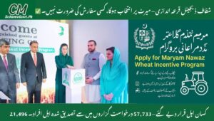 Read more about the article How to Apply for Maryam Nawaz Wheat Incentive Program?