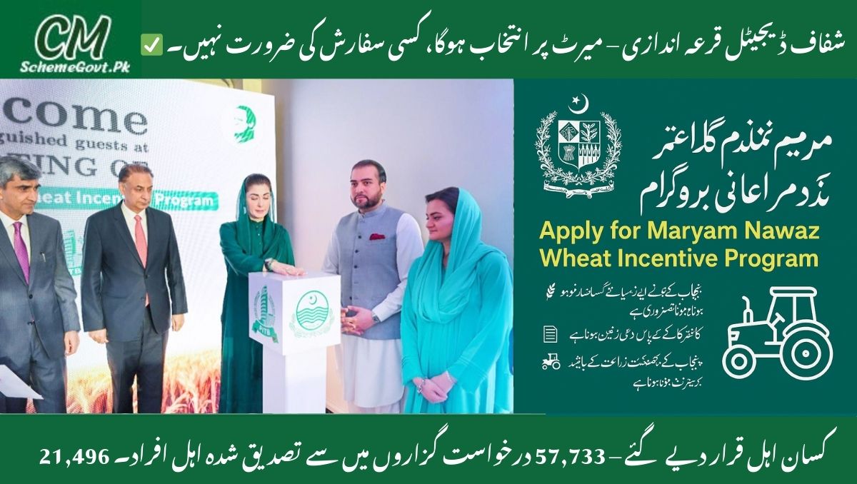 You are currently viewing How to Apply for Maryam Nawaz Wheat Incentive Program?