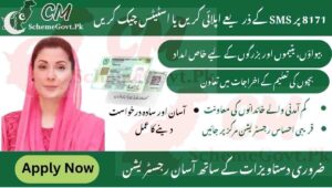 Read more about the article Apply for CM Punjab Ehsaas Program 2025 – Step by Step Process