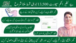 Read more about the article BISP 8171 Update April 2025: Payment Details, Eligibility, and How to Check