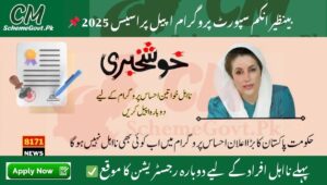 Read more about the article BISP Appeal Process 2025– How to Reapply If You Are Declared Ineligible