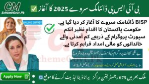 Read more about the article BISP Dynamic Survey 2025 – Complete Guide to Register and Update Your Data