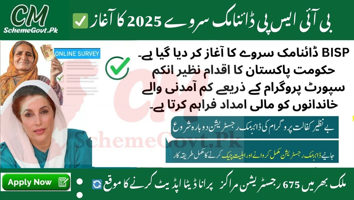 You are currently viewing BISP Dynamic Survey 2025 – Complete Guide to Register and Update Your Data