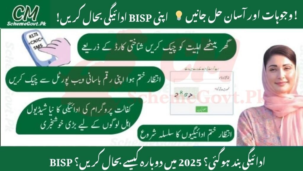 Read more about the article BISP Payment Stopped in 2025? 11 Common Reasons & Easy Fixes