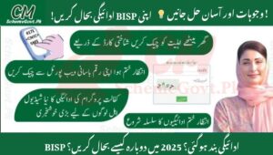 Read more about the article BISP Payment Stopped in 2025? 11 Common Reasons & Easy Fixes