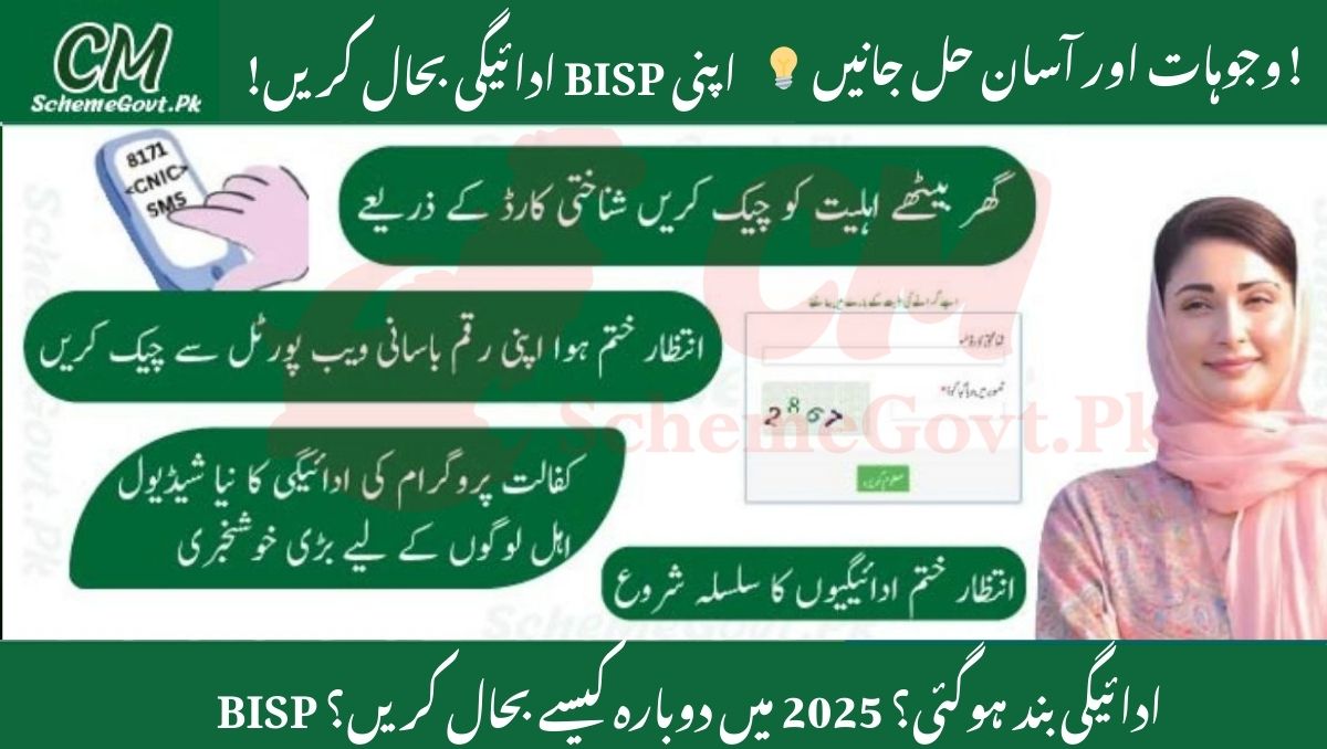 You are currently viewing BISP Payment Stopped in 2025? 11 Common Reasons & Easy Fixes
