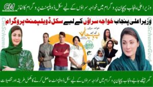 Read more about the article CM Punjab Pehchan Program 2025: Free Transgender Training and PKR 30,000 Monthly Stipend