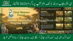 Read more about the article CM Punjab Wildlife Internship Program 2025 – Incredible Opportunity to Earn Rs. 60,000 Monthly