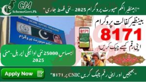 Read more about the article Ehsaas 25000 New Payment April-May 2025 – Check CNIC & Registration Method