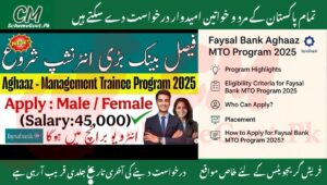 Read more about the article Faysal Bank Aghaaz MTO Program 2025 – Applications Are Now Open
