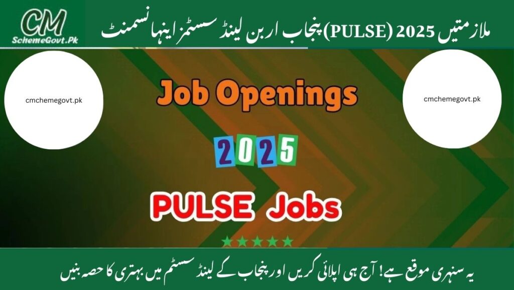 Read more about the article Land Systems Enhancement Jobs 2025: PULSE Opportunities in Punjab