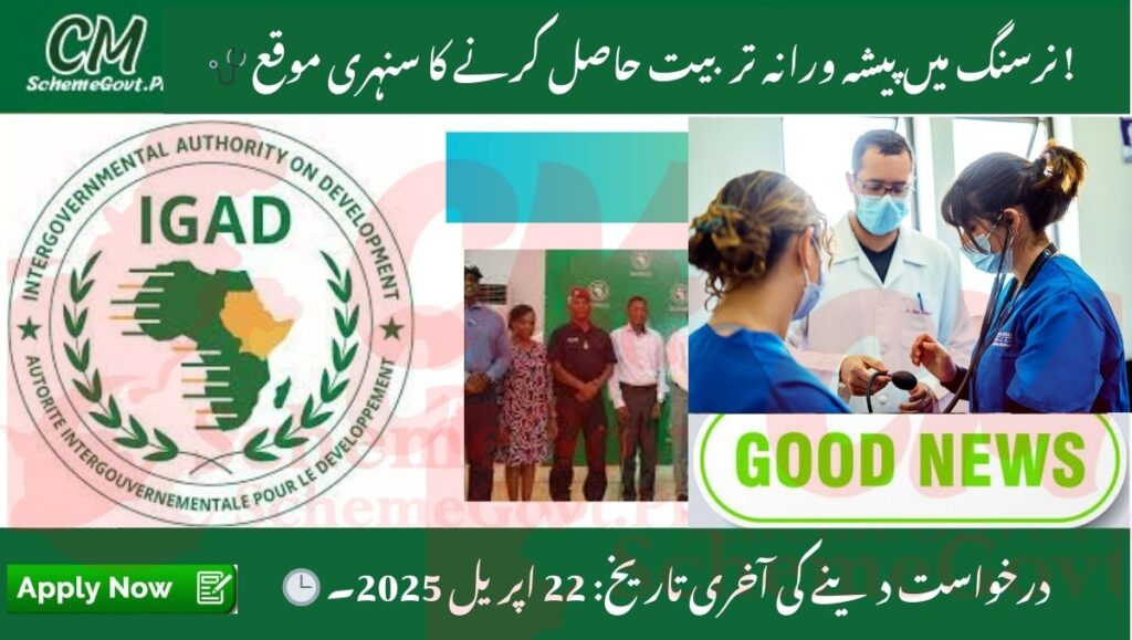 Read more about the article Nursing Internship Opportunities 2025 at Medical Teaching Institutions