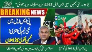 Read more about the article PCB Chairman PSL 2025 Update – Mohsin Naqvi’s Bold Step to Expand League Teams