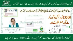 Read more about the article PMT Score Increased to 35 & BISP 2025 New Payment 13,500