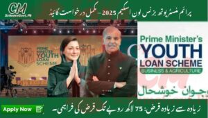 Read more about the article Prime Minister Youth Business Loan Scheme 2025 – Complete Application Guide