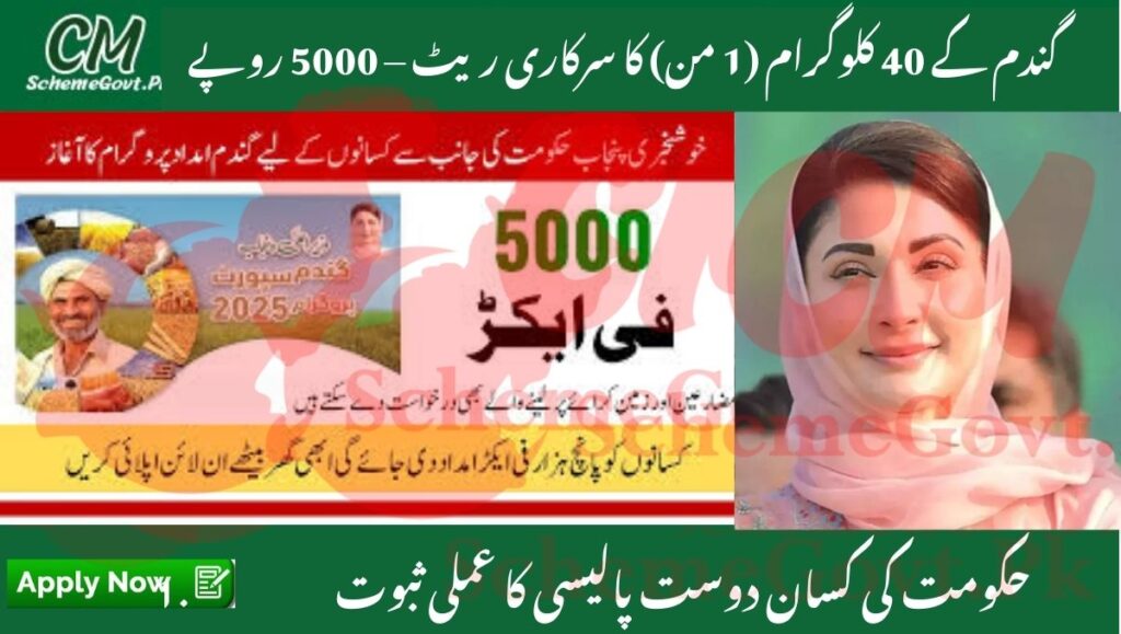 Punjab Wheat Support 2025