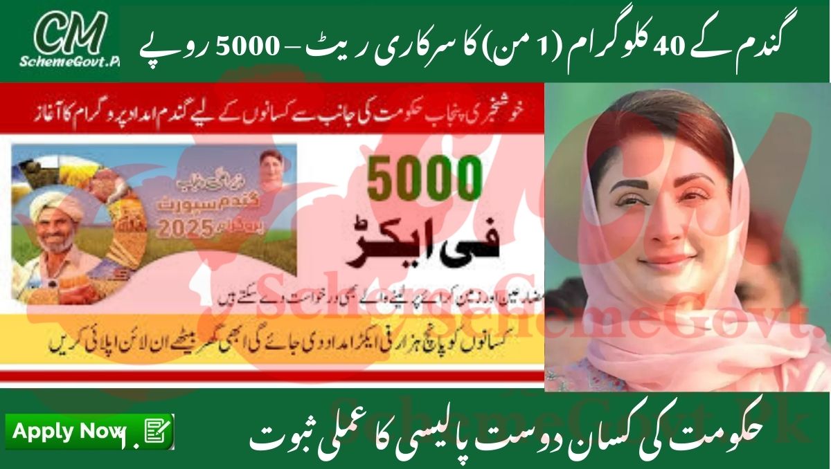 You are currently viewing Punjab Wheat Support 2025 – Get Rs. 5000 per 40kg (1 Mann)