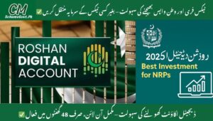 Read more about the article Roshan Digital Account 2025 – Best Investment for NRPs