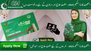 Read more about the article Sehat Card Scheme 2025 – Online Apply, Hospital List & Coverage