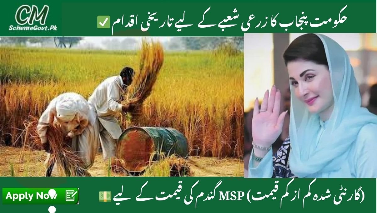 Wheat Farmers Special Package 2025