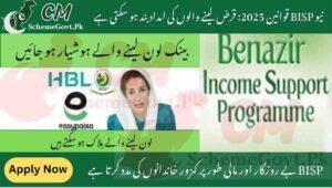 Read more about the article New BISP Update 2025-Individuals Receiving Aid Could Face Suspension for Availing Bank Financing