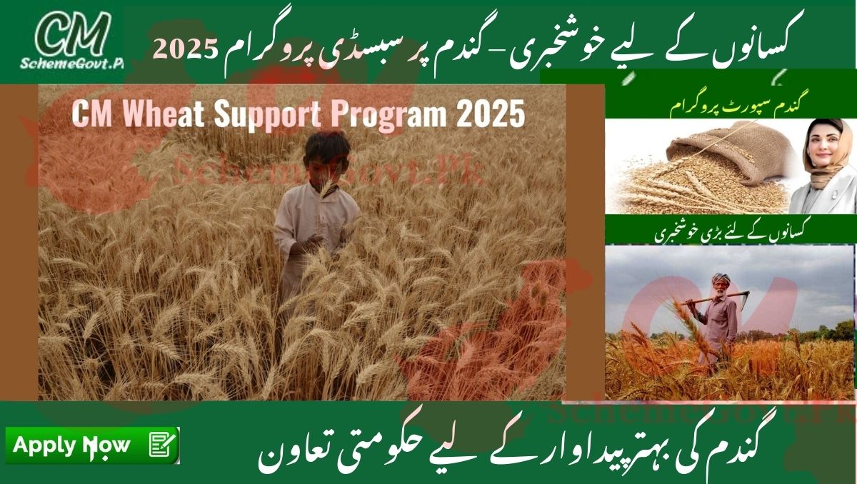 You are currently viewing Wheat Subsidy Program 2025 Latest Update – Online Application & Farmer Eligibility
