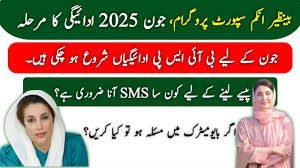 BISP 8171 June 2025 Camp Guidelines