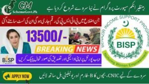 Read more about the article BISP Survey Update June 2025 Deadline & Unverified Regions