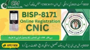 Read more about the article BISP August 2025 Payment – Check 8171 CNIC Status Online