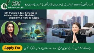 Read more about the article Punjab E-Taxi Program 2025 – Golden Chance for Youth to Own Subsidized Electric Taxi