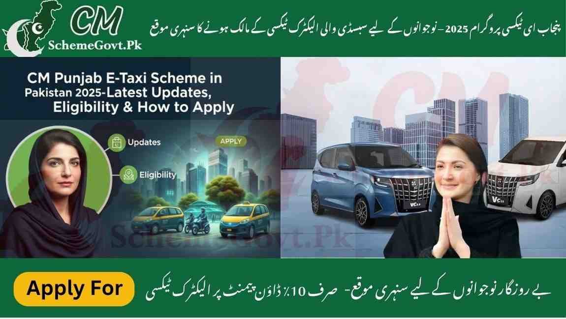 Punjab E-Taxi Program 2025