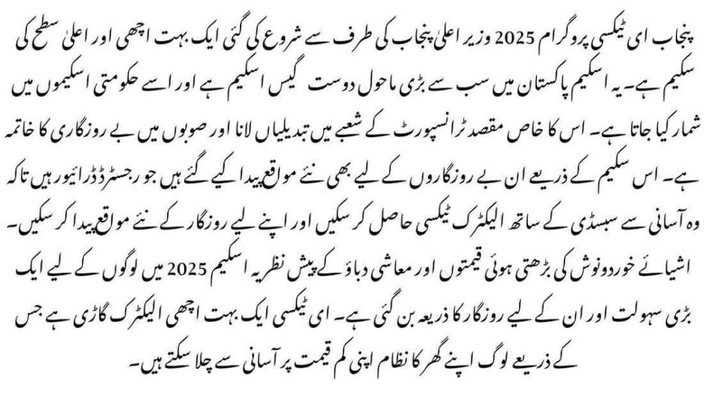 Punjab E-Taxi Program 2025