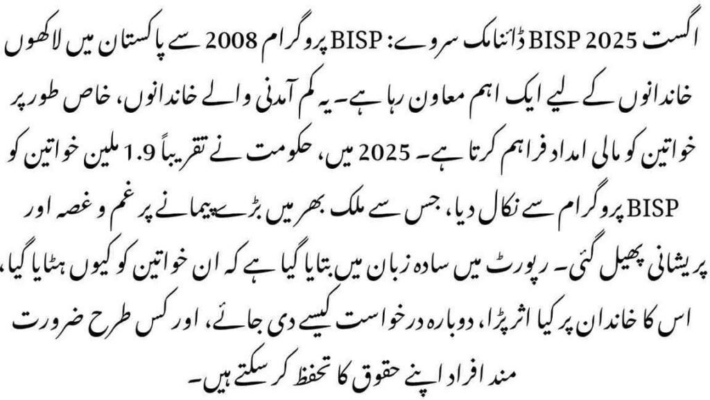 August 2025 BISP Dynamic Survey