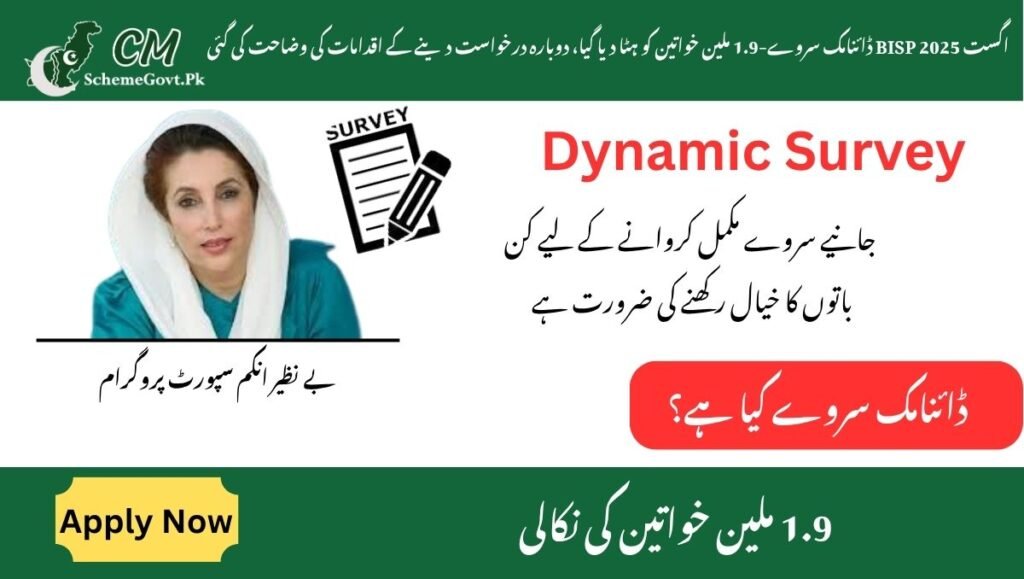 Read more about the article August 2025 BISP Dynamic Survey-1.9 million women removed, re-application steps explained